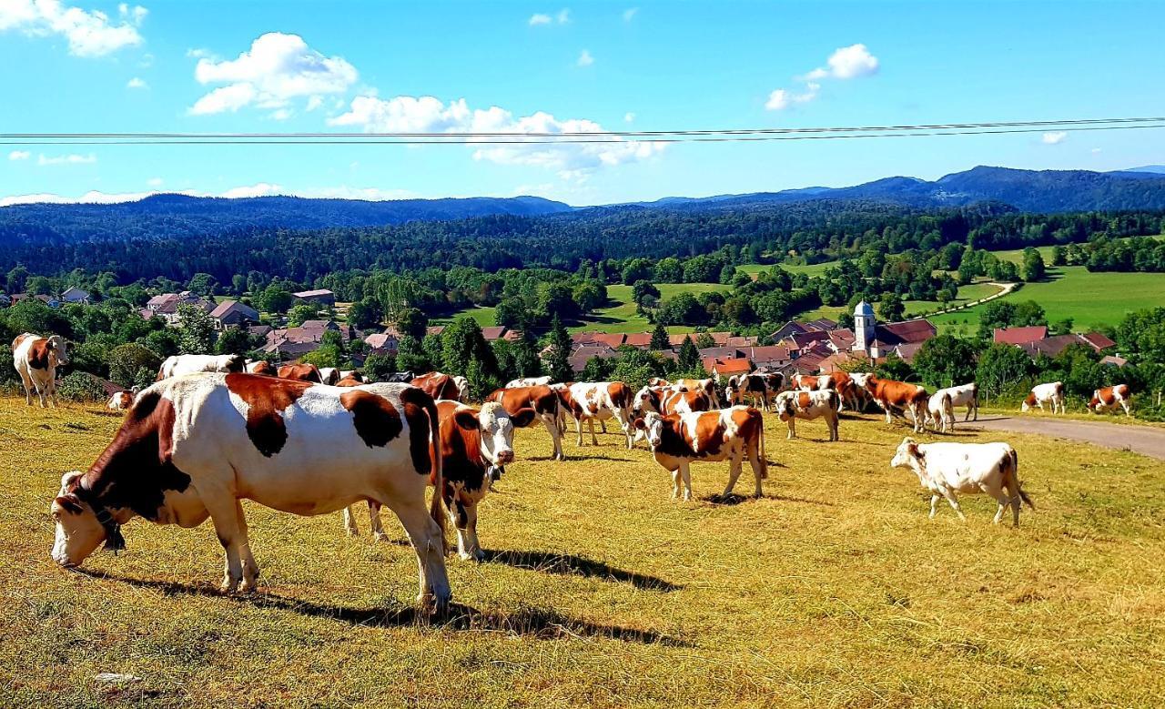 Maison d'hôtes Le Jura En Toutes Saisons